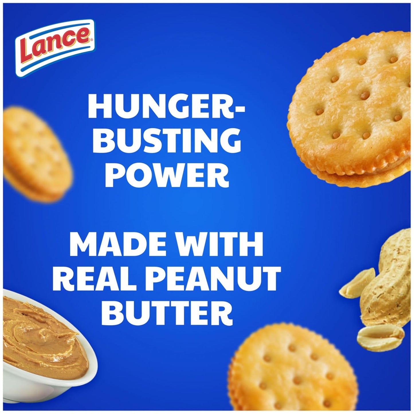 Toasty Peanut Butter Sandwich Crackers - 10 Individually Wrapped Packs with 6 Sandwiches Each!