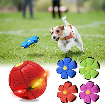 Luminous Fetch-n-Glow Ball for Dogs