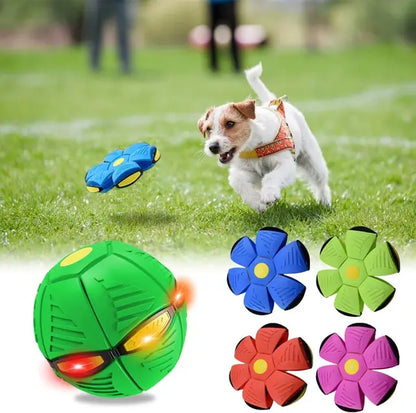 Luminous Fetch-n-Glow Ball for Dogs