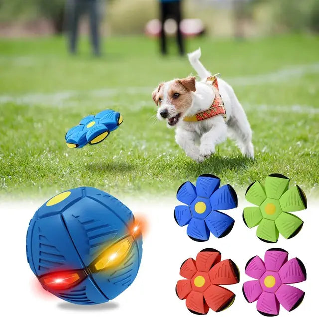 Luminous Fetch-n-Glow Ball for Dogs