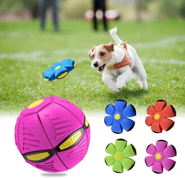 Luminous Fetch-n-Glow Ball for Dogs