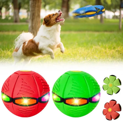 Luminous Fetch-n-Glow Ball for Dogs