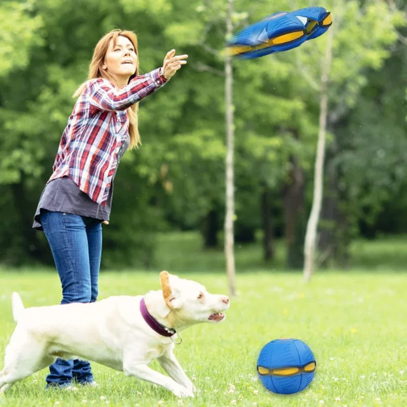 Luminous Fetch-n-Glow Ball for Dogs