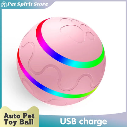 FurryPal Interactive Play Ball